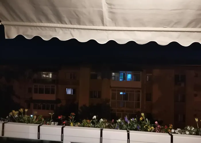 Bloom Box Apartments